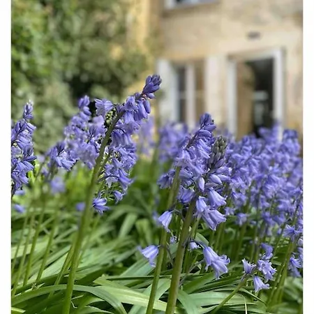 Maison 15 Pers Dans Le Perche Avec Piscine Villa *