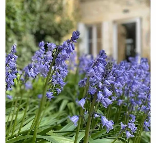 Maison 15 Pers Dans Le Perche Avec Piscine Villa *